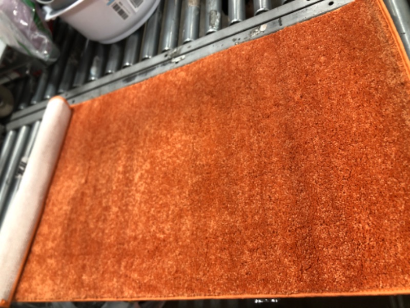 Photo 1 of 23" x 46" orange rug