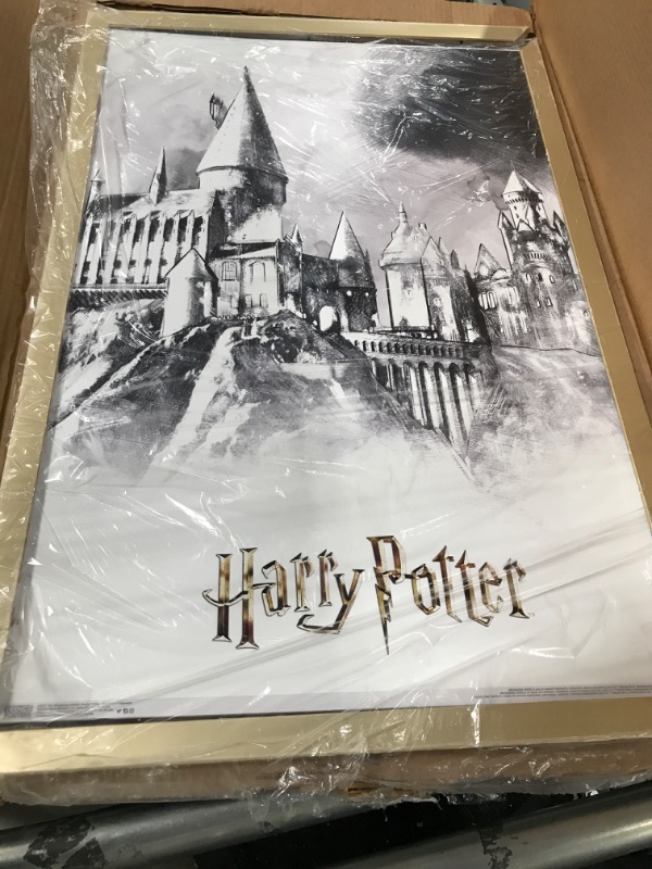 Photo 2 of **BROKEN FRAME Trends International The Wizarding World: Harry Potter - Illustrated Hogwarts Wall Poster, 22.375" x 34", Premium Print and Beechwood Hanger Bundle