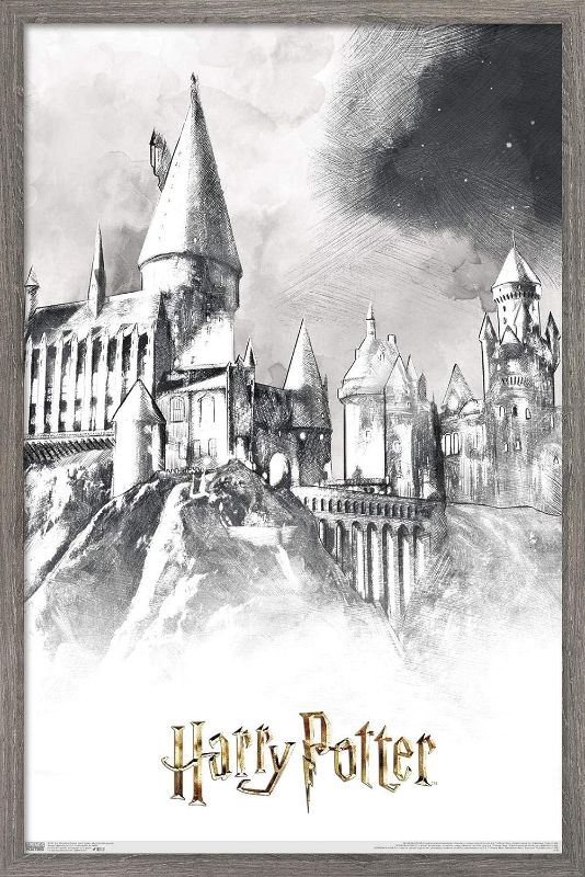 Photo 1 of **BROKEN FRAME Trends International The Wizarding World: Harry Potter - Illustrated Hogwarts Wall Poster, 22.375" x 34", Premium Print and Beechwood Hanger Bundle