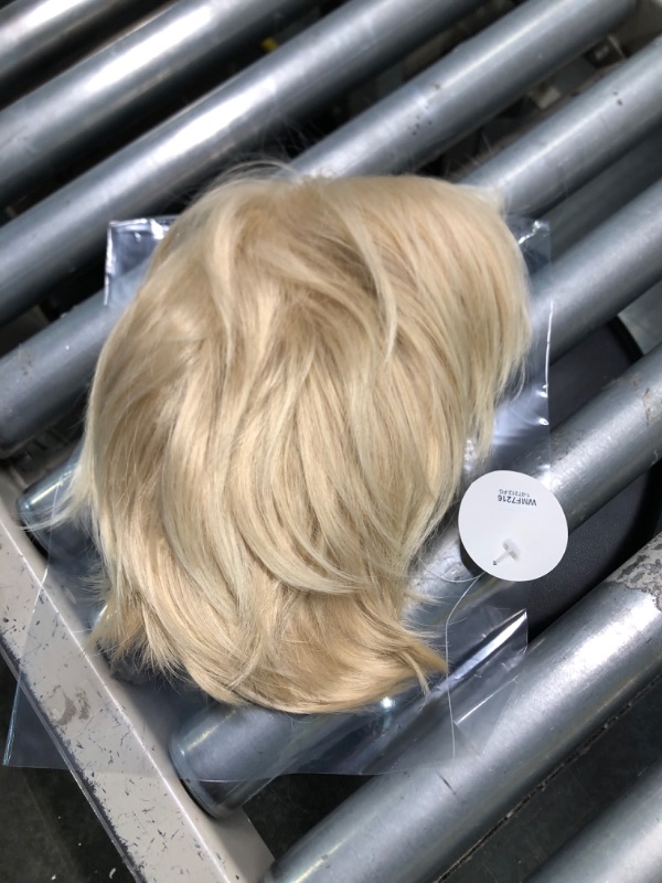 Photo 2 of 
SWACC Unisex Fashion Spiky Layered Short Anime Cosplay Wig for Men and Women (Dark Blonde)
Color:Dark Blonde