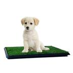 Photo 2 of Artificial Grass Puppy Pee Pad for Dogs and Small Pets - 16x20 Reusable 3-Layer Training Potty Pad with Tray - Dog Housebreaking Supplies 
