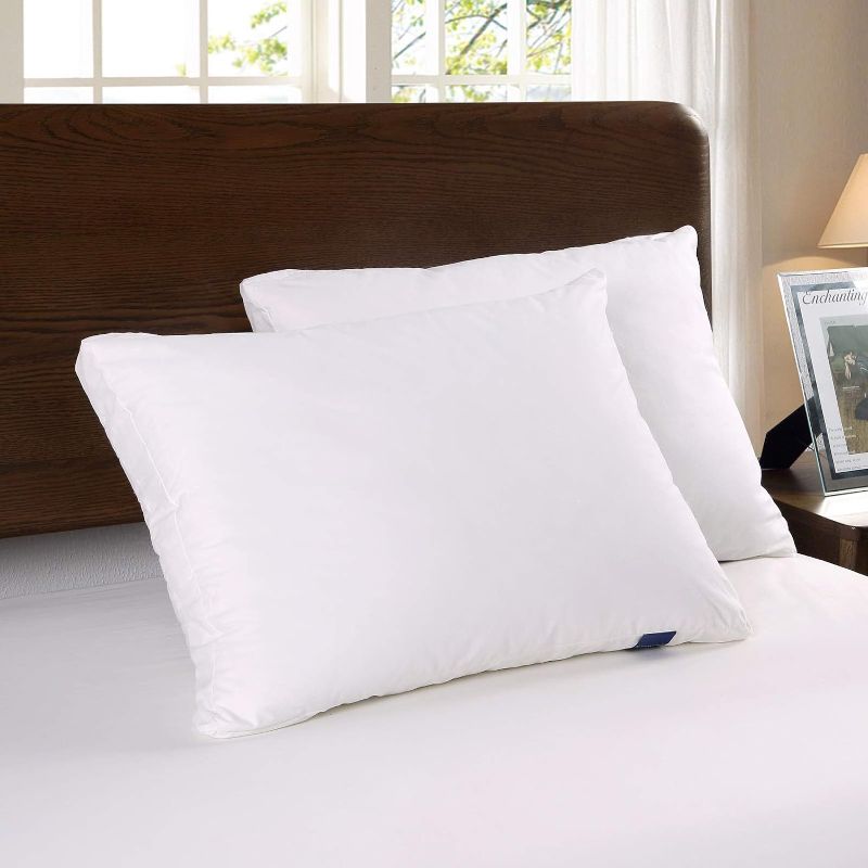 Photo 1 of ACCURATEX Bed Pillows Queen Size