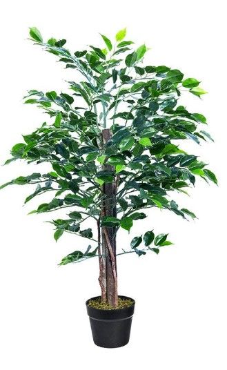 Photo 1 of 3ft Artificial Ficus Silk Tree