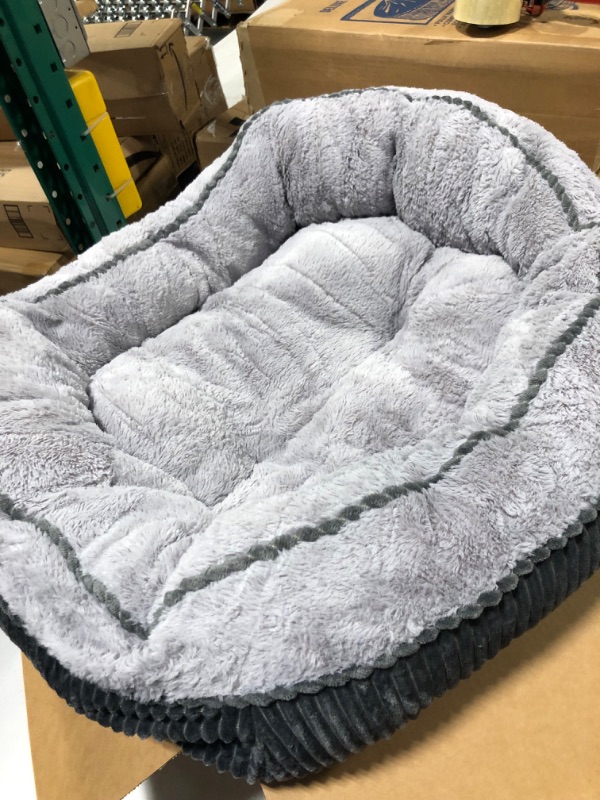 Photo 1 of 35 x 25 Grey Dog Bed