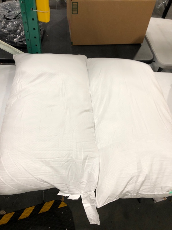 Photo 1 of 2 Oeko Tex  Standard Pillows 