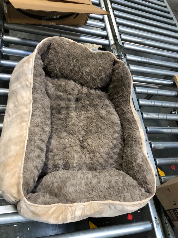 Photo 1 of DOG BED