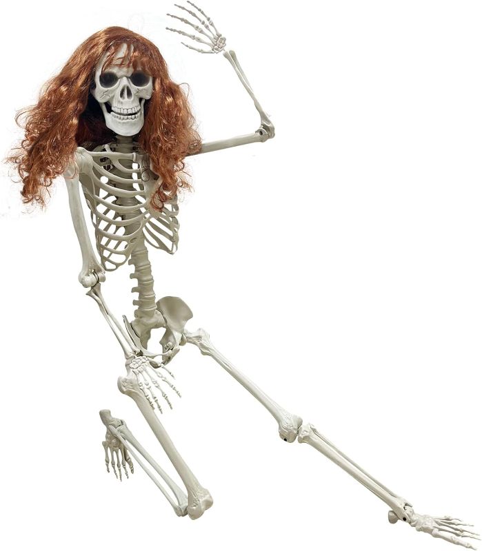Photo 1 of 5.4Ft/165cm Halloween Skeleton Full Body Life Size Human Skeleton Bones with Movable Joints for Indoor Outdoor Halloween Props Decorations (Short Wigs