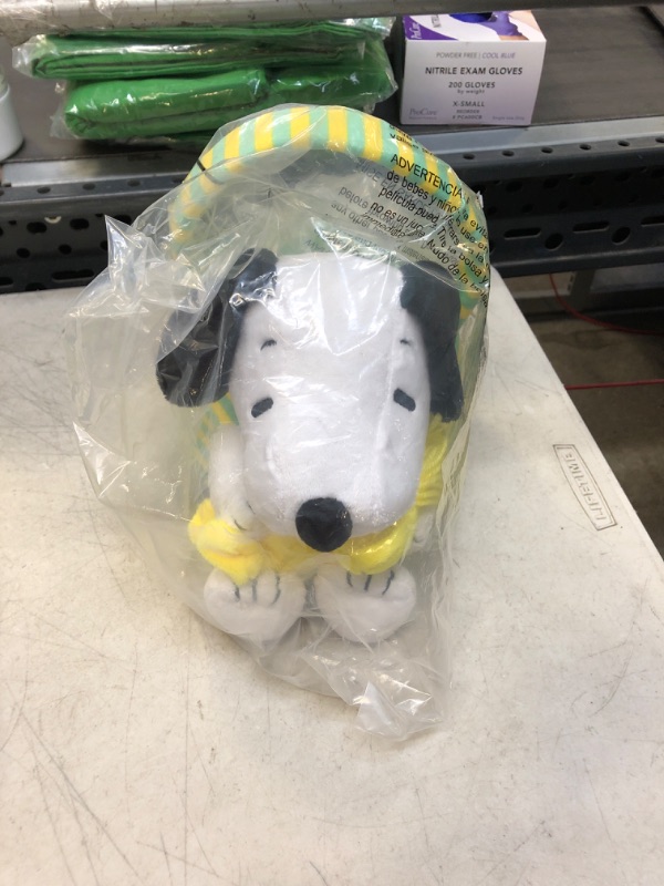 Photo 2 of Animal Adventure® | 8" Easter Basket Snoopy and Woodstock