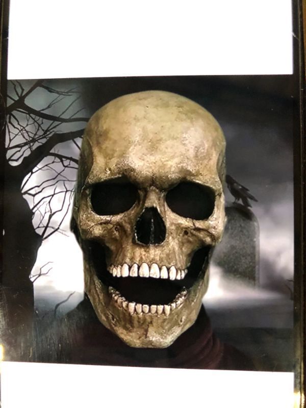 Photo 1 of HALLOWEEN FULL SKULL FACE MASK DARK COLOR
