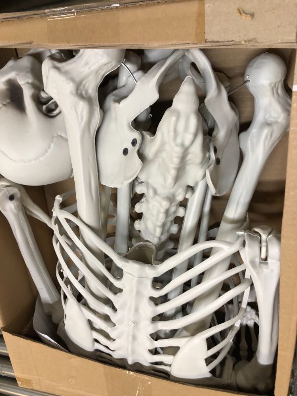 Photo 2 of 5'4" Halloween Skeleton Life Size - Plastic Skeletons with Freely Movable Joints, Posable Realistic Full Body Human Bones, Weatherproof Outdoor Decorations,Hanging Porch Decor (White)