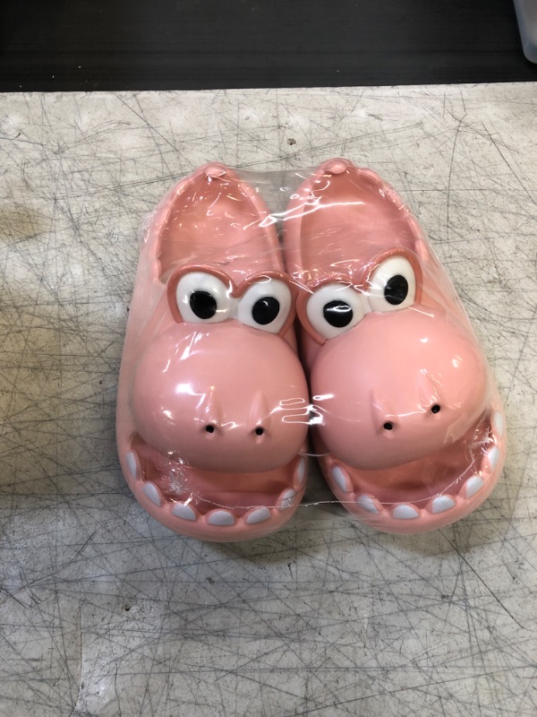 Photo 1 of YOUTH KIDS CUTE DINOSAUR SLIDES
POSSIBLY SIZE 2.5/3 