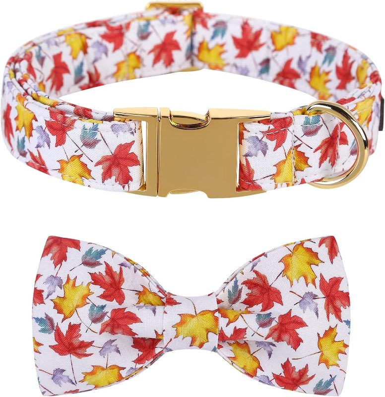 Photo 1 of Lionet Paws Dog Collar with Bowtie - Cute Cotton Adjustable Fall Bowtie Dog Collar with Metal Buckle for Small Medium Large Dog Girl Boy Gift, M, Neck 13.5-22in
