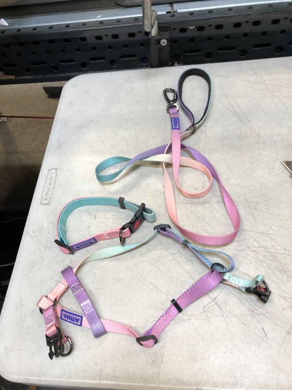 Photo 1 of DOG CHEST HARNESS WITH COLLAR AND LEASH 
