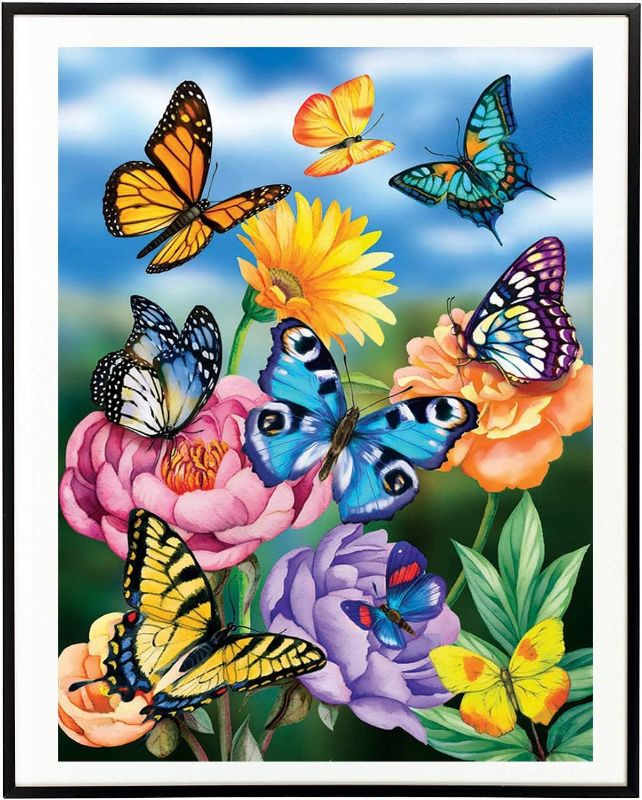Photo 1 of  5D Diamond Painting Kits for Adults and Kids Anime Diamond Art for Beginners Butterfly Flowers Diamond Painting Gnome Full Drill Diamond Dots Crafts for Decor 12x16 Inch (Butterfly)