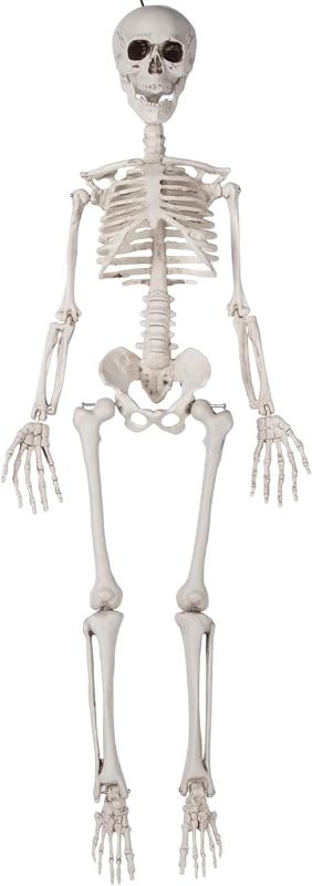 Photo 1 of 36" Skeleton Halloween Decorations, 3FT Hanging Posable Realistic Skeleton Decor for Indoor/Outdoor
