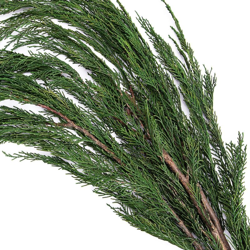 Photo 1 of *** Similar to stock photo ***moonoom 3.5 OZ Real Pine Leaves Branches - 25'' Natural Greenery Plants Pine Twigs - DIY Garland Green Leaves Pine Picks for Christmas Wreaths Home Garden Holiday Party Indoor Outdoor Decoration