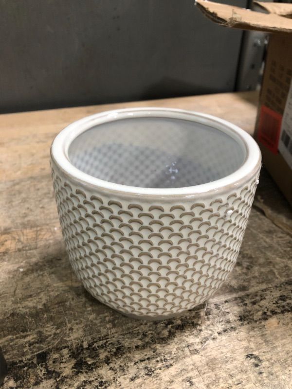 Photo 1 of Amazon Brand – Stone & Beam Cylindrical Textured Stoneware Planter, 5.1"H, Small, Ivory
