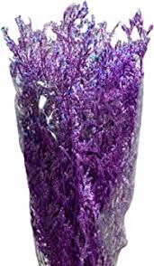 Photo 1 of 1 Branch Dried Grass Reusable Eye-catching Convenient Easy to Maintain Dried Bouquet Purple
