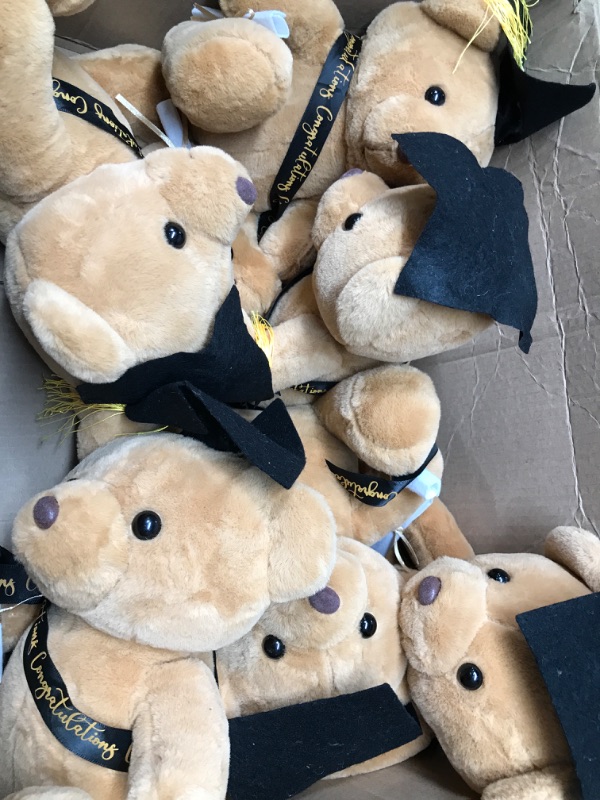 Photo 1 of Chuangdi 12 Pcs 10 Inch Bulk Graduation Bears Graduation Plush Stuffed Animal Class of 2023 Graduation Stuffed Bear with Diploma Cap Congratulation Sash for Her Him Graduation Gift (Black)