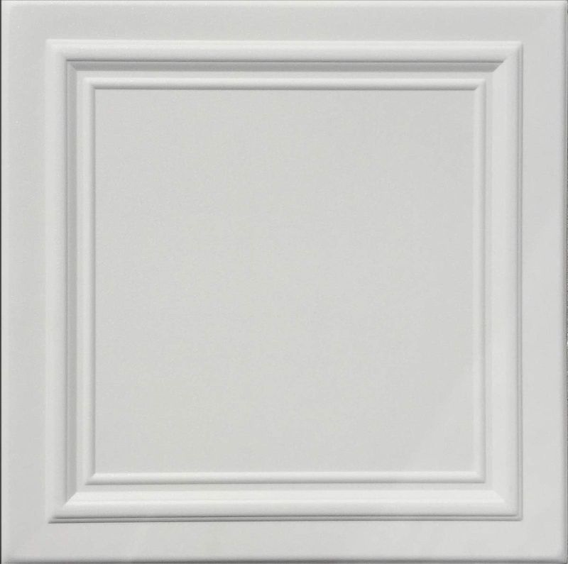 Photo 1 of 
Zeta White (Foam) Ceiling Tile 8 pk