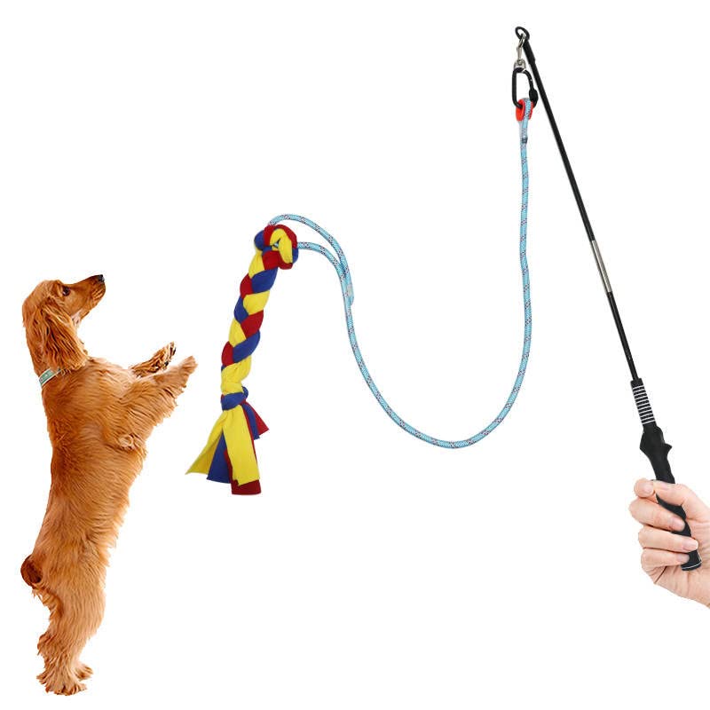 Photo 1 of All 4s Flirt Pole Rope Cord Lure - 35 inch Pole, 39 inch inch Cord - Heavy Duty Durable Dog Toy for Fun Exercise