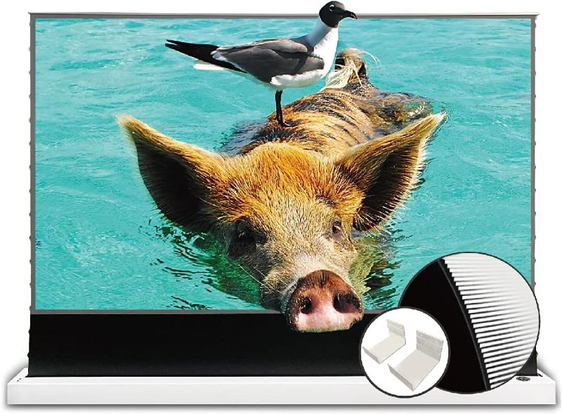 Photo 1 of VIVIDSTORM-Projection Screen S PRO 110 inch VWSDSTUST110H-WB
