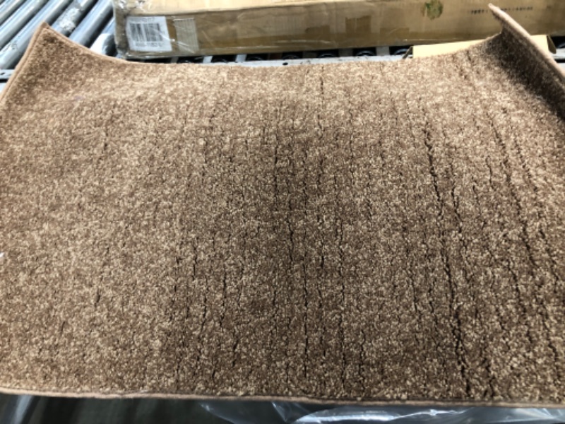 Photo 1 of 2' x 3' brown rectangular small rug 