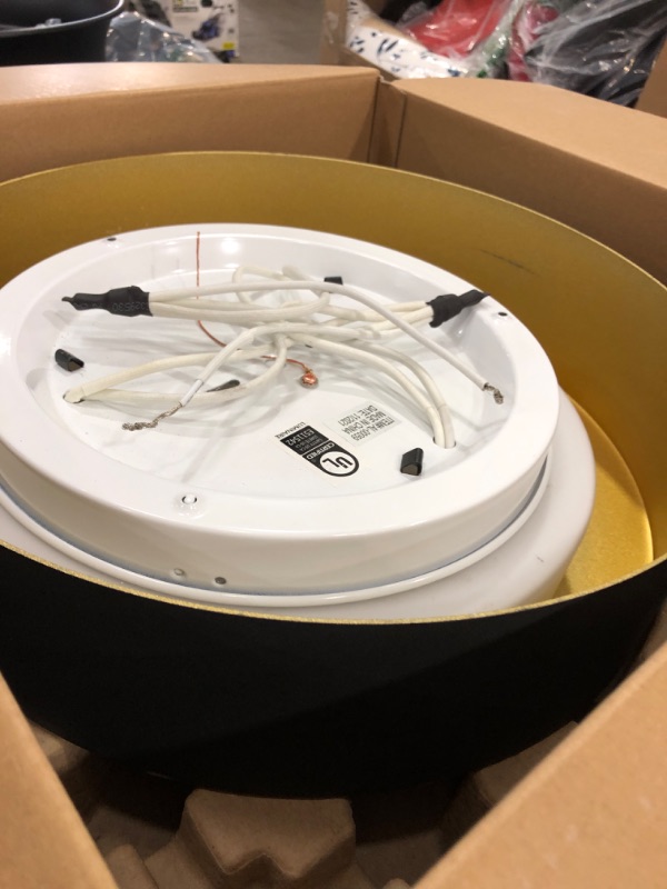 Photo 1 of 16" black light flush fixture 