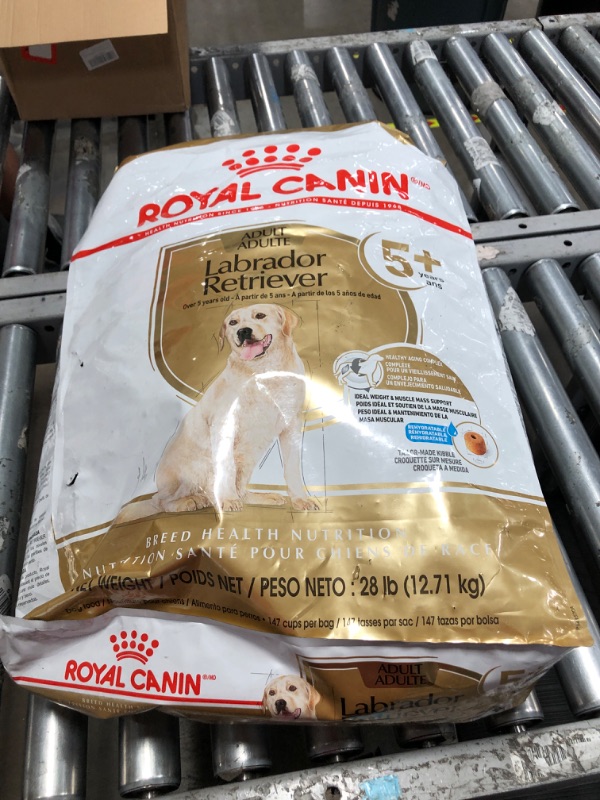 Photo 2 of *10/2024* Royal Canin Breed Health Nutrition Labrador Retriever Adult Dry Dog Food