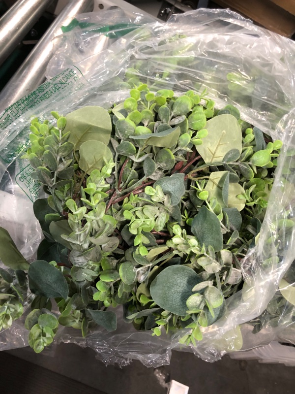 Photo 1 of 270 Pcs 3 Kinds Mixed Eucalyptus Leaves Stems Bulk 