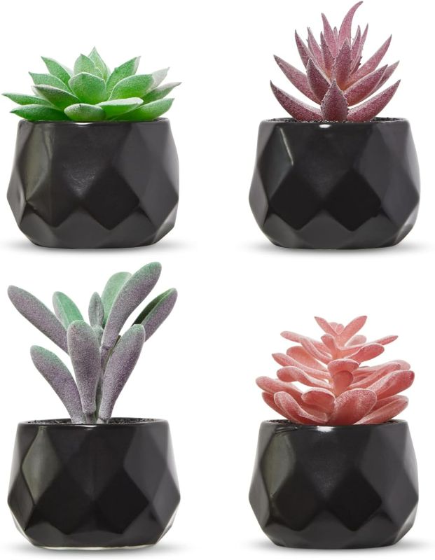 Photo 1 of **COLOR IS BLACK**
Nordik Set of 4 Desk Plants in BLACK - Office Decor 