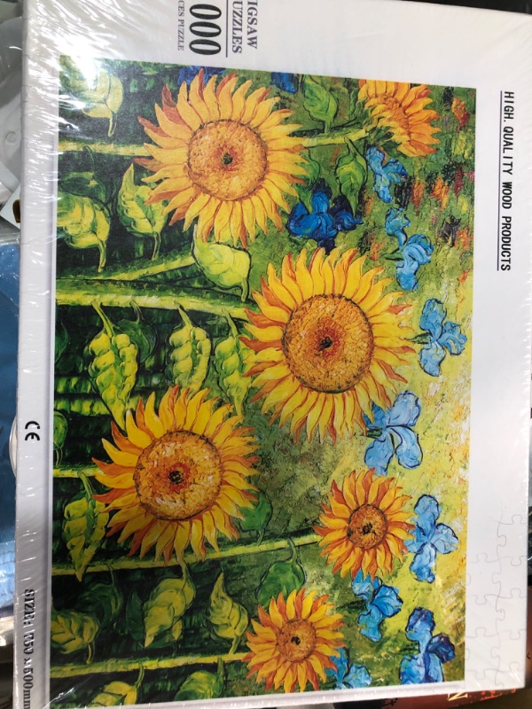 Photo 1 of 1000 piece jigsaw puzzle