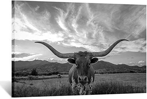Photo 1 of (READ NOTES) KREATIVE ARTS SPLT (3) Black and White Animal Canvas Wall Art Highland Cattle with Long Horns Picture Texas Longhorn in Sunset Farm Painting for Home Decor Modern Living Room Decorations 24x36in