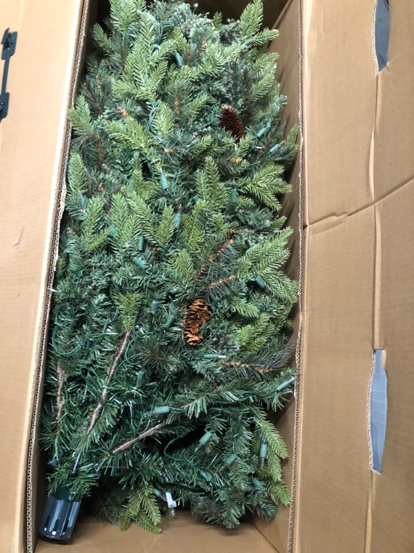 Photo 5 of ***NOT FUNCTIONAL - LIGHTS DON'T WORK - FOR PARTS ONLY - NONREFUNDABLE***
Holiday Living 7.5-ft Hayden Pine Pre-lit Artificial Christmas Tree with LED Lights
