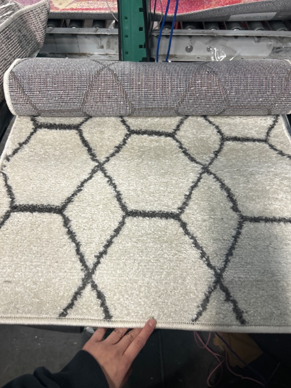 Photo 1 of 2x5area rug