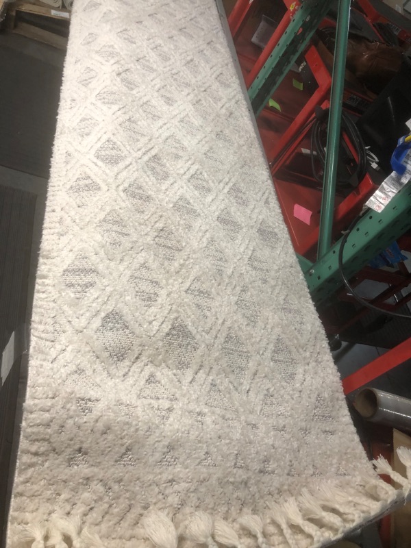 Photo 1 of *USED - SEE NOTES* Moroccan Lattice Tassel Runner Rug, Size 2'6"x12'