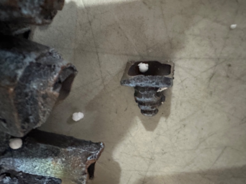 Photo 1 of (ONLY HAS HALF THE BATTLESHIP)
Underwater Treasures Battleship Ruins