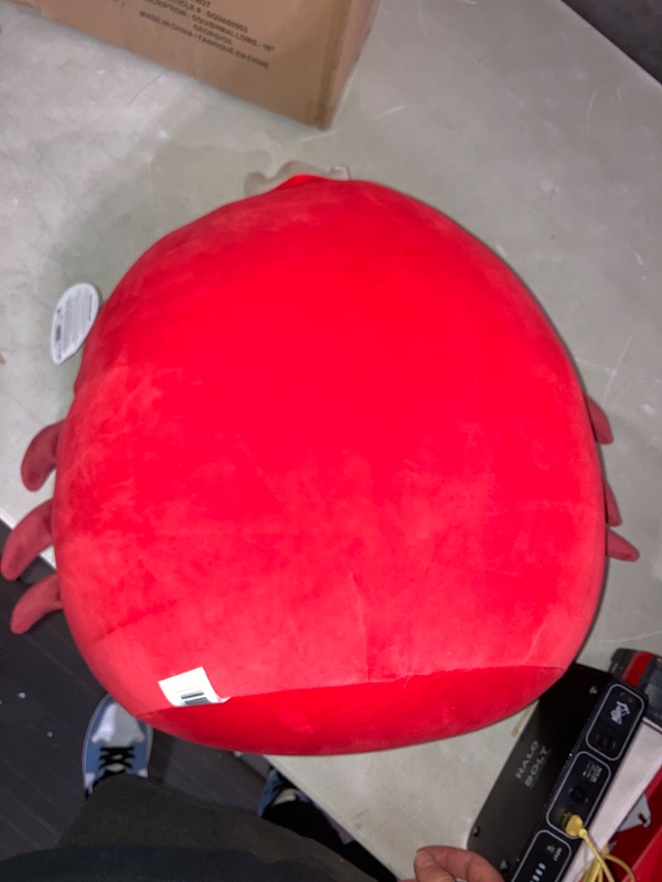 Photo 3 of (READ FULL POST) Squishmallows Original 16-Inch Georgios Red King Crab with Heart Monocle - Official Jazwares Large Plush