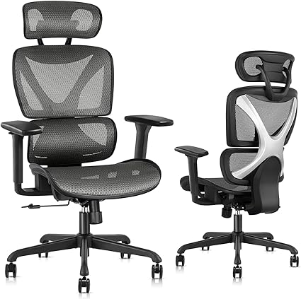 Photo 1 of GABRYLLY Ergonomic Office Chair with Lumbar Support