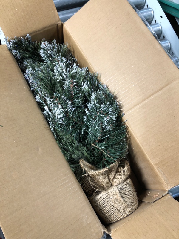 Photo 2 of * used item * see all images * 
National Tree Company Pre-lit Artificial Mini Christmas Tree | Includes Small LED Lights, White Tipped,