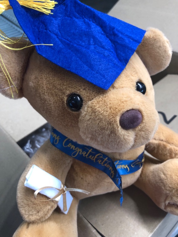 Photo 1 of Congratulations teddy bear- 13 pack