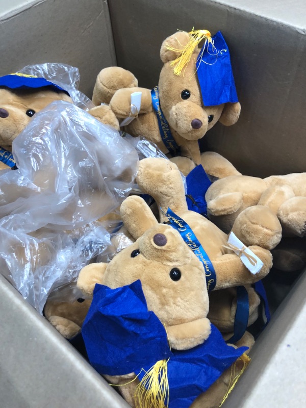 Photo 1 of Congratulations teddy bear- 13 pack