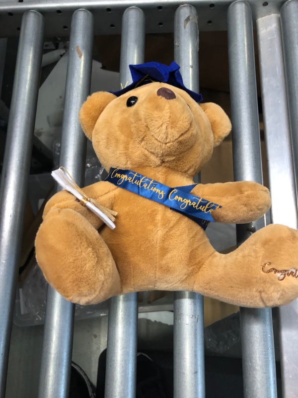 Photo 1 of Congratulations teddy bear- 13 pack