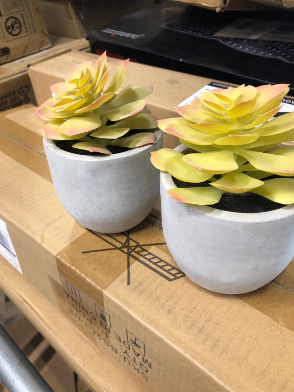 Photo 1 of Artificial Succulents Set of 2 Mini Realistic Fake Plants with Plastic Pots for Home and Office Decoration