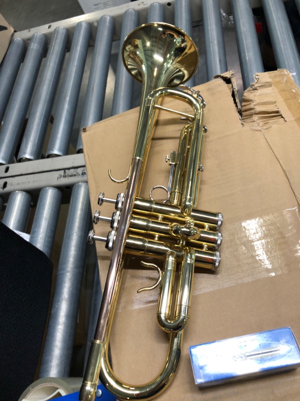 Photo 5 of Glory Bb Trumpet - Trumpets for Beginner or Advanced Student with Case