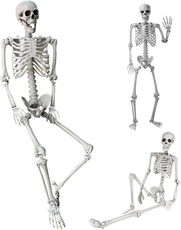 Photo 1 of 5.4Ft/165cm Halloween Skeleton Full Body Life Size Human Bones with Movable Joints for Indoor Outdoor Halloween Props Decorations