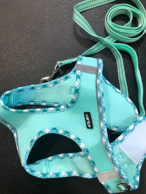 Photo 2 of AMTOR Dog Harness with Leash Set,No Pull Adjustable Reflective Step-in Puppy Harness with Padded Vest for Extra-Small/Small Medium Large Dogs and Cats Small(Chest:13.5"-16.0") LightGreen