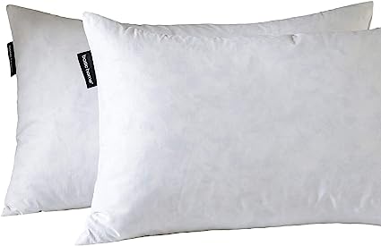 Photo 1 of Basic home14x24 Decorative Throw Pillow Inserts-Down Feather Pillow Inserts-Oblong-Cotton Fabric-Set of 2-White.
