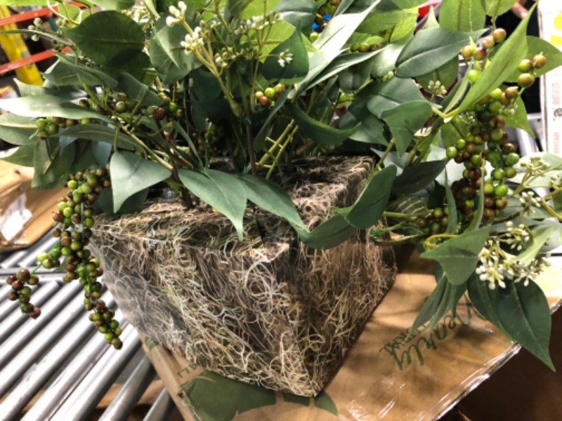 Photo 1 of artificial plant in white foam box