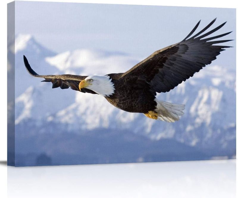 Photo 1 of Canvas Wall Art - Flying Eagle Pictures - Modern Wall Decor Gallery Canvas Wraps Giclee Print Stretched and Framed Ready to Hang - 16" x 24"